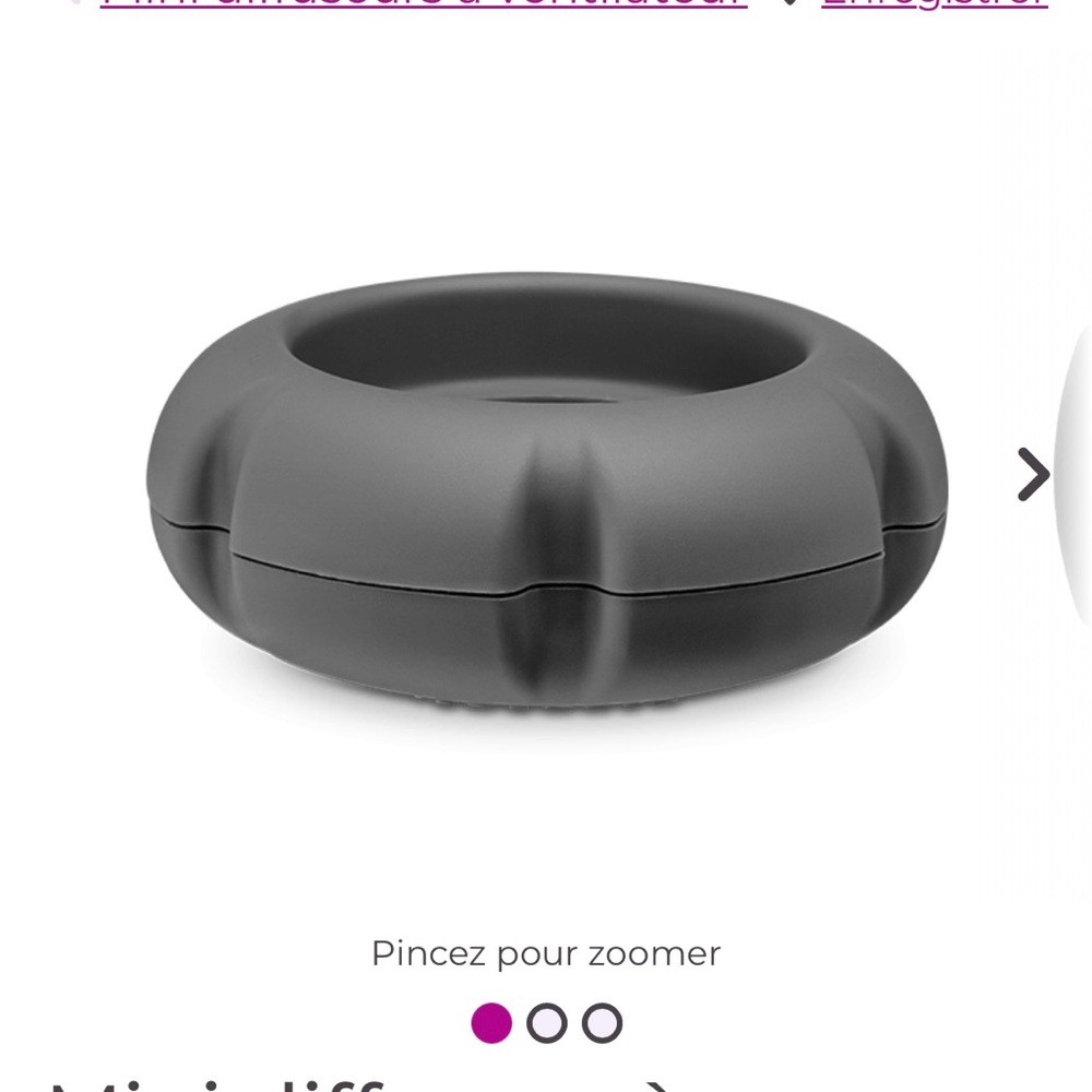 Scentsy mini fan diffuser